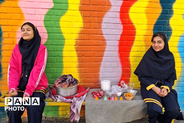 بازارچه دانش آموزی در دبستان شهید ناصری ناحیه دو شهرری 