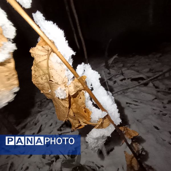 گذری بر دقایق اول بارش برف پاییزی در نیشابور 