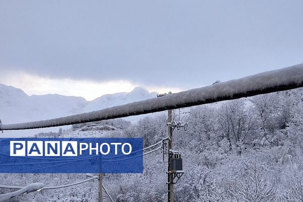 آلبوم تصویری از برف در طبیعت شهر بار 