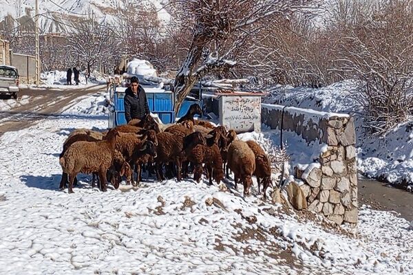 اولین برف زمستانی در بار