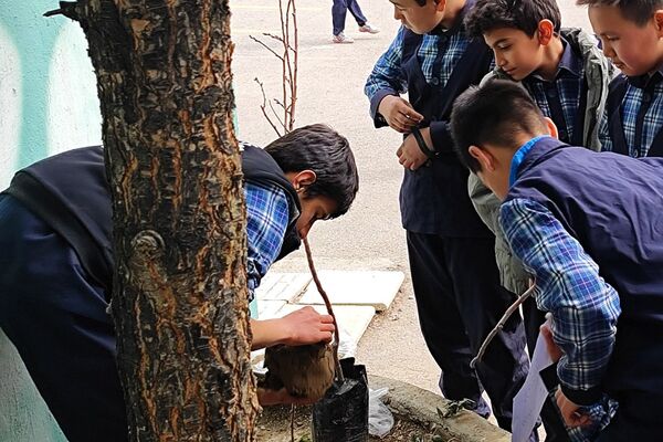 گرامیداشت روز درختکاری در دبستان امام حسن مجتبی(ع) رودهن 