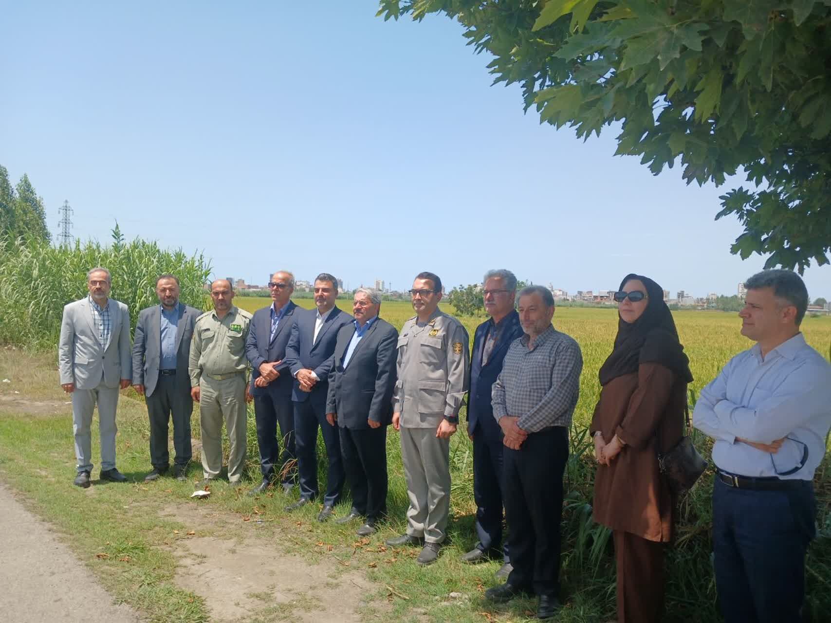 حضور معاون محیط‌ زیست دریایی و تالاب‌های سازمان حفاظت از محیط زیست در فریدونکنار
