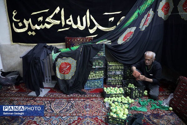  عزاداری روز تاسوعای حسینی در هیات سقاهای همدانی مقیم مرکز
