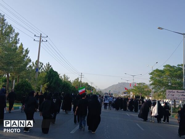 قدم هایی در راه سیدالشهدا