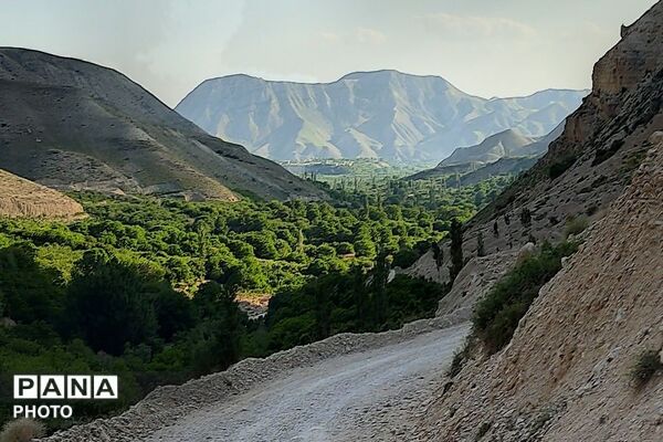 کوه های شهر بار ذخیره‌گاه گیاهان ارزشمند و کم نظیر دارویی 