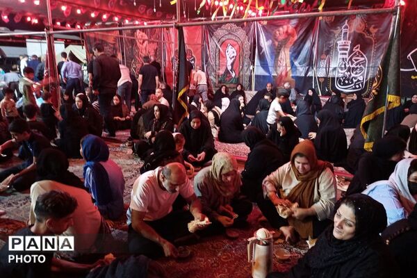 موکب عشاق الحسین(ع) تجلی خدمت و دلدادگی