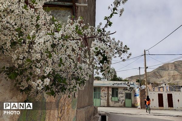 آلبوم تصویری از طبیعت زیبای شهر بار در اردیبهشت‌ماه  ۱۴۰۵ -1