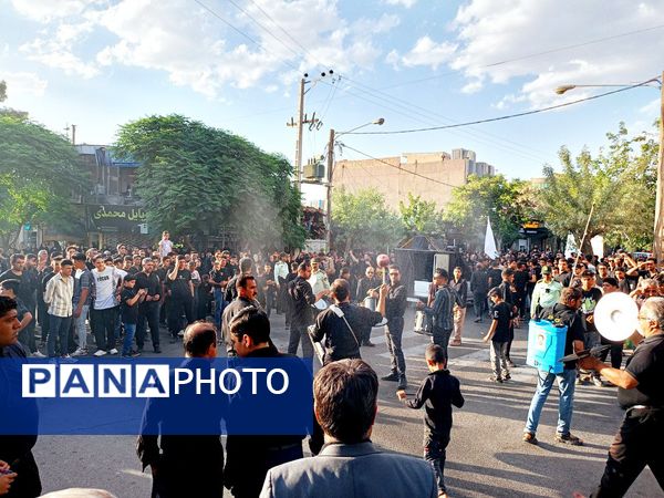 حرکت نمادین کاروان بندی اسد روستای فدافن و آیین نخل گردانی در کاشمر 