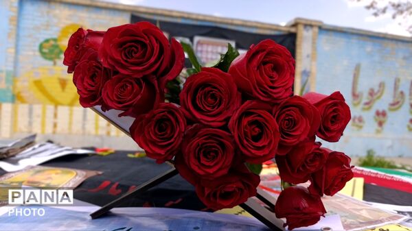 روییدن امید از خاک شهادت؛ نهال‌هایی به نام رهبر شهید و شهدای مدرسه میناب
