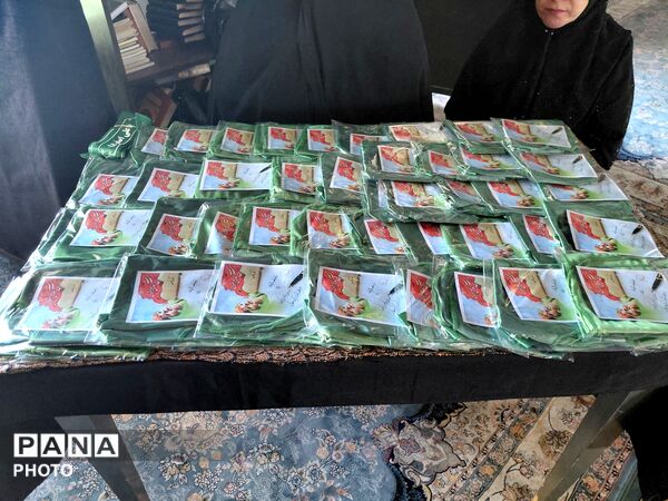 ادامه مسیر کربلا با شیرخوارگان حسینی