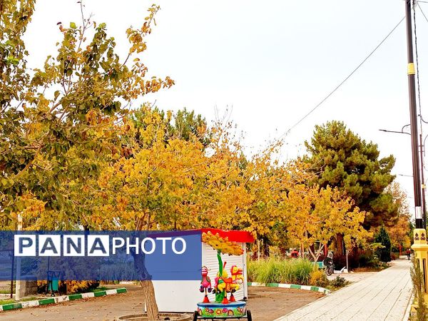 کاشمر در برگریزان پاییز