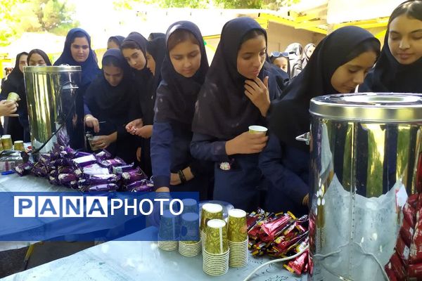 اجرای طرح تمشک ویژه دانش‌آموزان فارس