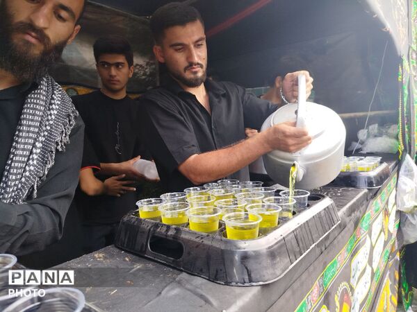موکب امام حسن مجتبی در روز شهادت امام حسن مجتبی علیه‌السلام