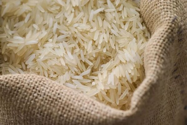 افزایش ۱۶ درصدی تولید برنج در کشور