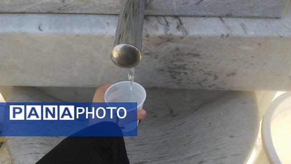 حال و هوای حرم مطهر رضوی در اربعین حسینی