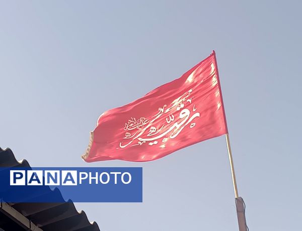 گذری بر فعالیت مجتمع فرهنگی امام  جواد(ع) در مسیر پیاده روی امام رضا (ع) 