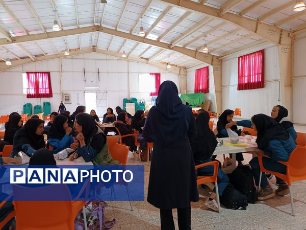 اردوی تمشک در شهرستان سربیشه 