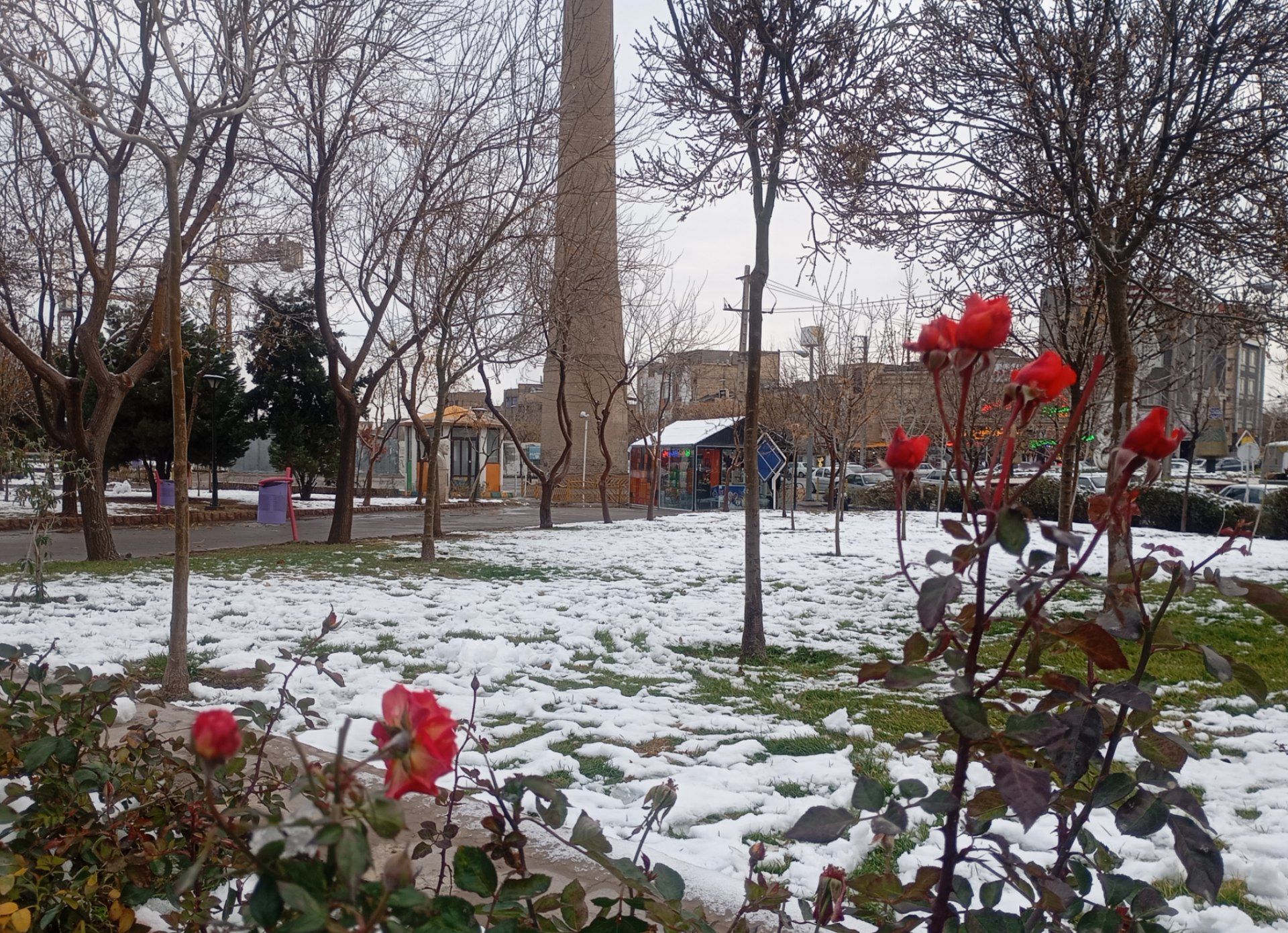 بارش برف در شهر زیبای مشهد 