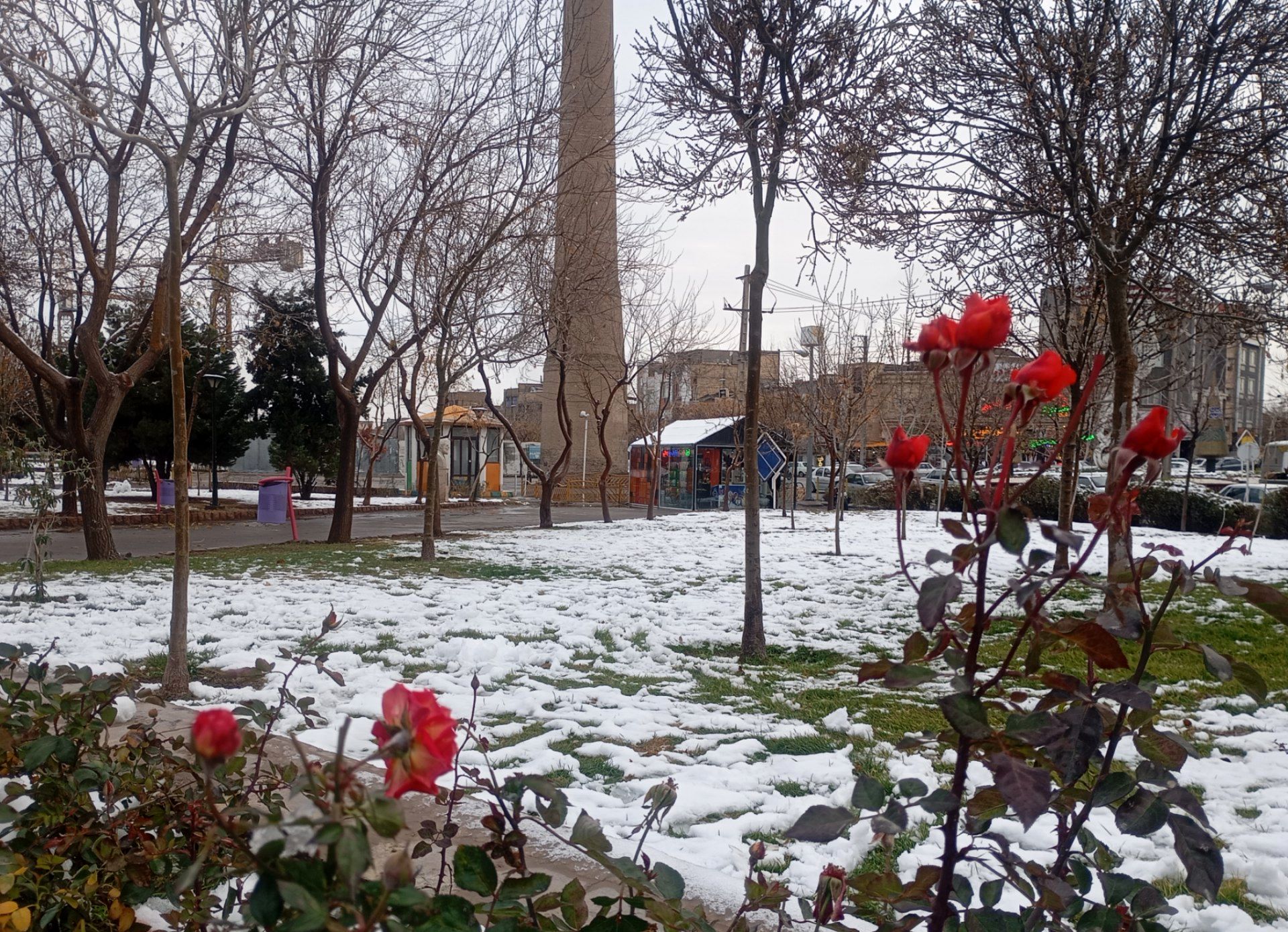 بارش برف در شهر زیبای مشهد 