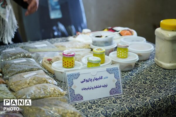 از دل روستاها تا مسیر توسعه؛ روایت تصویری سفر معاون رئیس‌جمهور به فیروزکوه