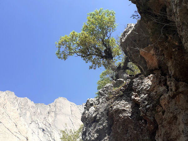 طبیعت بسیار خاص منطقه زیودار شهرستان معمولان