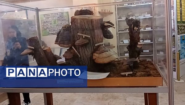 بازدید  خبرنگاران مسئله محور از موسسه گیاه پزشکی تهران