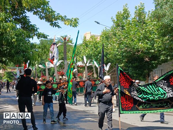 همدلی و ارادت به سیدالشهدا(ع) در تاسوعای حسینی