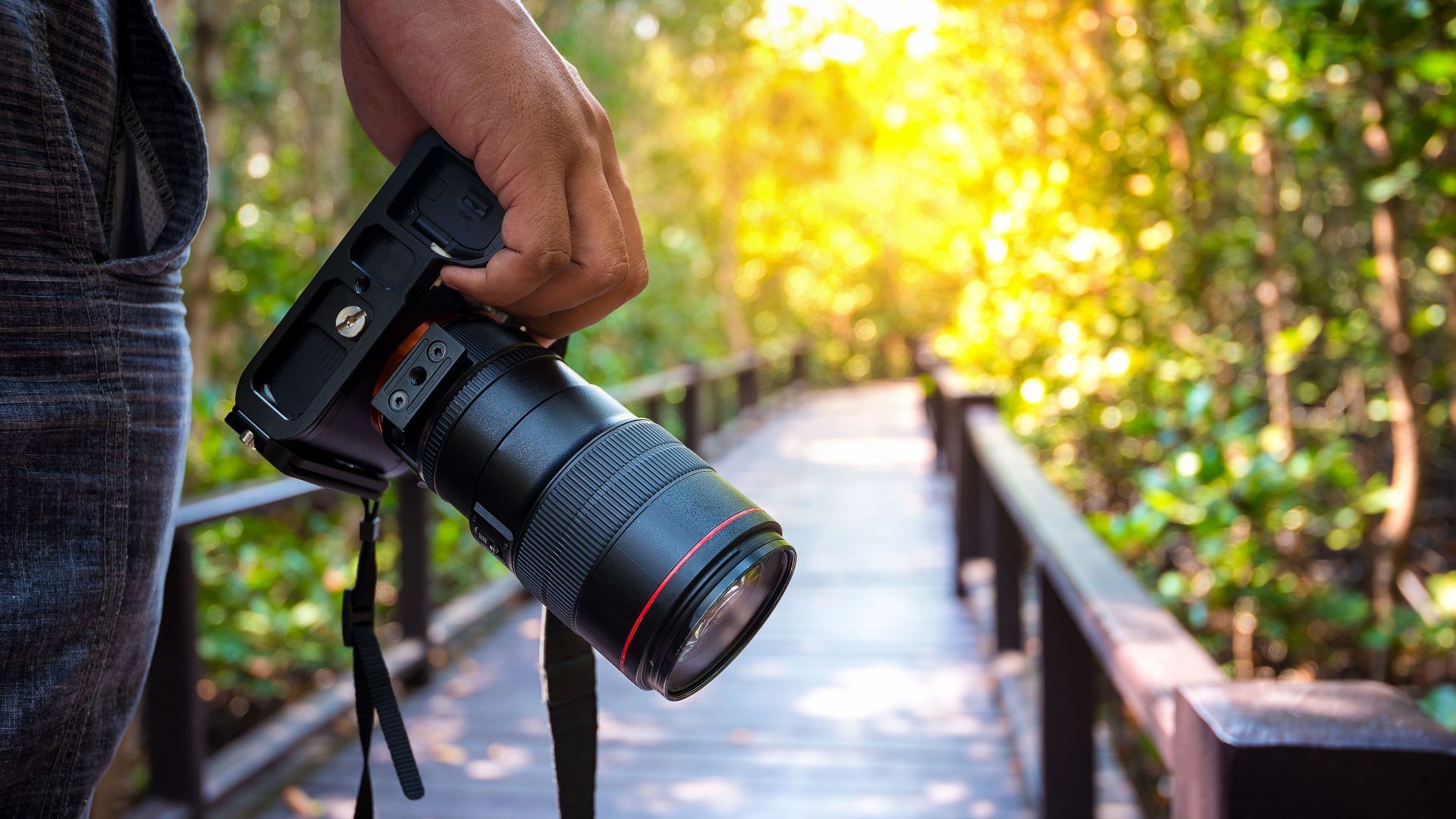 مدیر جدید خانه عکاسان معارفه شد