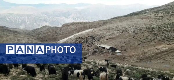  سرزمین عشق در دل سختی‌ها