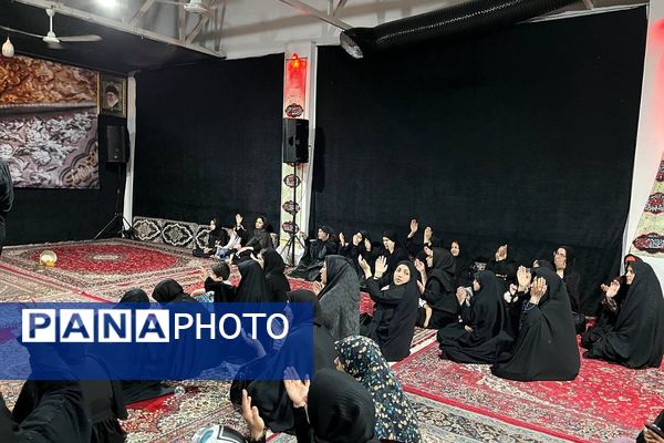 «نجما» در عزای امام حسن مجتبی (ع) به اشک نشست