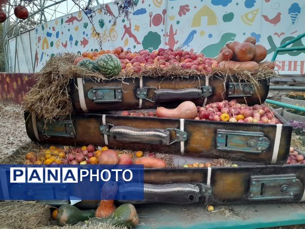 طعم و رنگ پاییز در باغ مشهد