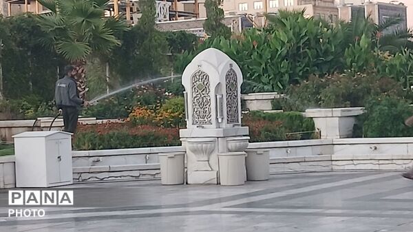 در پناه شاه خراسان