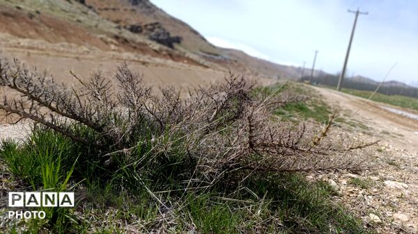 بردنکان؛ یکی دیگر از جاذبه های گردشگری روستای ده‌چشمه