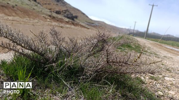بردنکان؛ یکی دیگر از جاذبه های گردشگری روستای ده‌چشمه