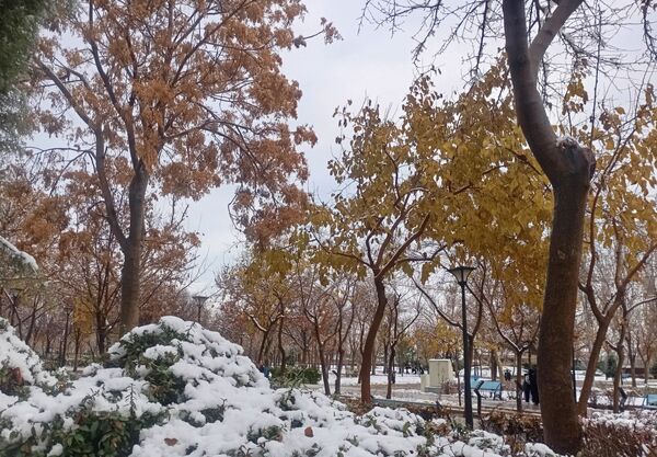 بارش برف در شهر زیبای مشهد 