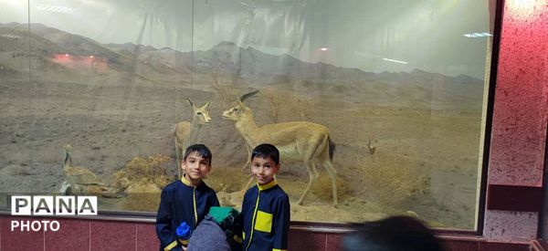 سفر علمی دانش‌آموزان سرخسی به قلب محیط‌زیست