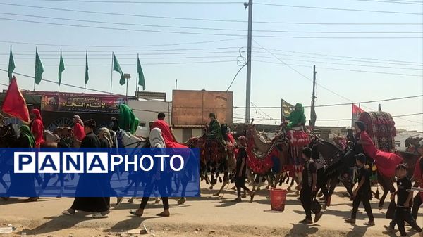 پیاده روی پرشور اربعین حسینی از جاده نجف تا کربلا