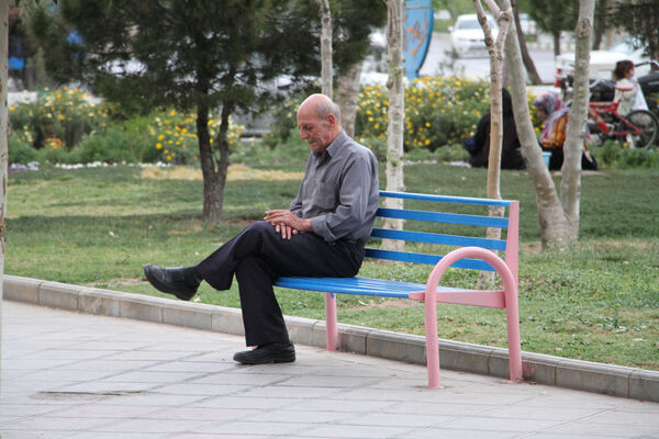جلوه هایی از دورهمی روز طبیعت در بوستان‌های قم