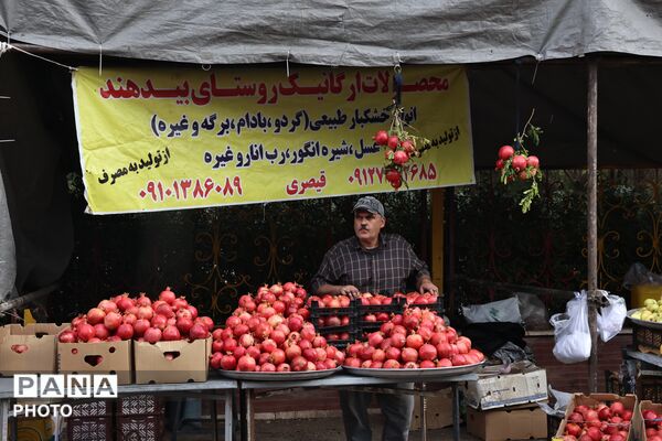افتتاحیه بازارچه انار و کاپشن در شهر کهک