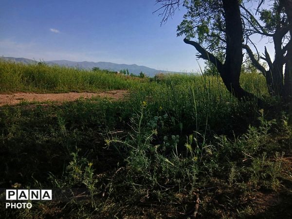 طبیعت چشم نواز روستای دهنو