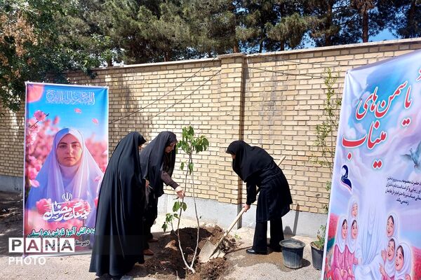 کاشت نهال به یاد یاسمن‌های میناب و شهیده دانش‌آموز نازنین زهرا سیفی 