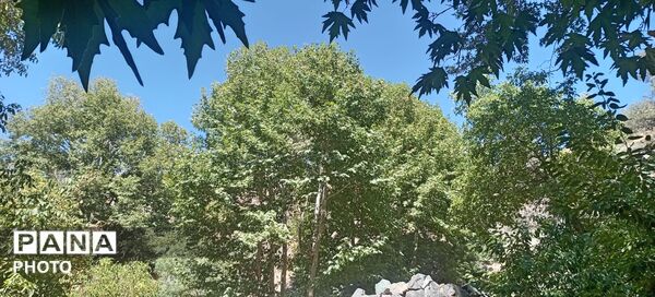 حال و هوای دل‌انگیز روستای مایان در آخرین ماه تابستان