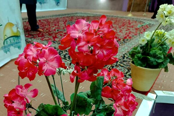 اردوی دختران پیشتاز باعنوان کبوترانه تاقدس (2)