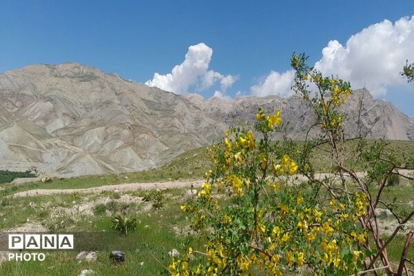 آلبوم تصویری از طبیعت زیبای شهر بار در اردیبهشت‌ماه  ۱۴۰۵ـ۲