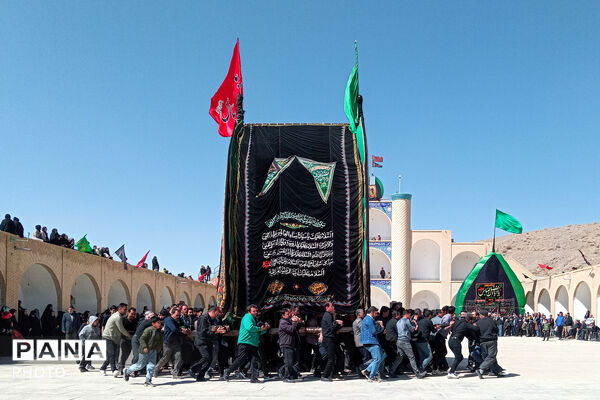 نخل‌برداری بنادکوک‌دیزه در سوگ امام علی (ع)