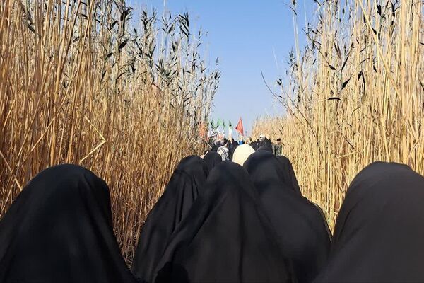 لحظات ناب در دیار نور، کنار شهدا 