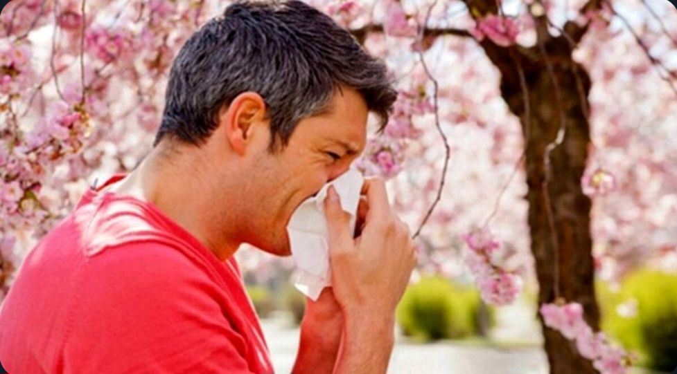 بیش از ۱۰ درصد مردم خراسان‌شمالی آلرژی دارند