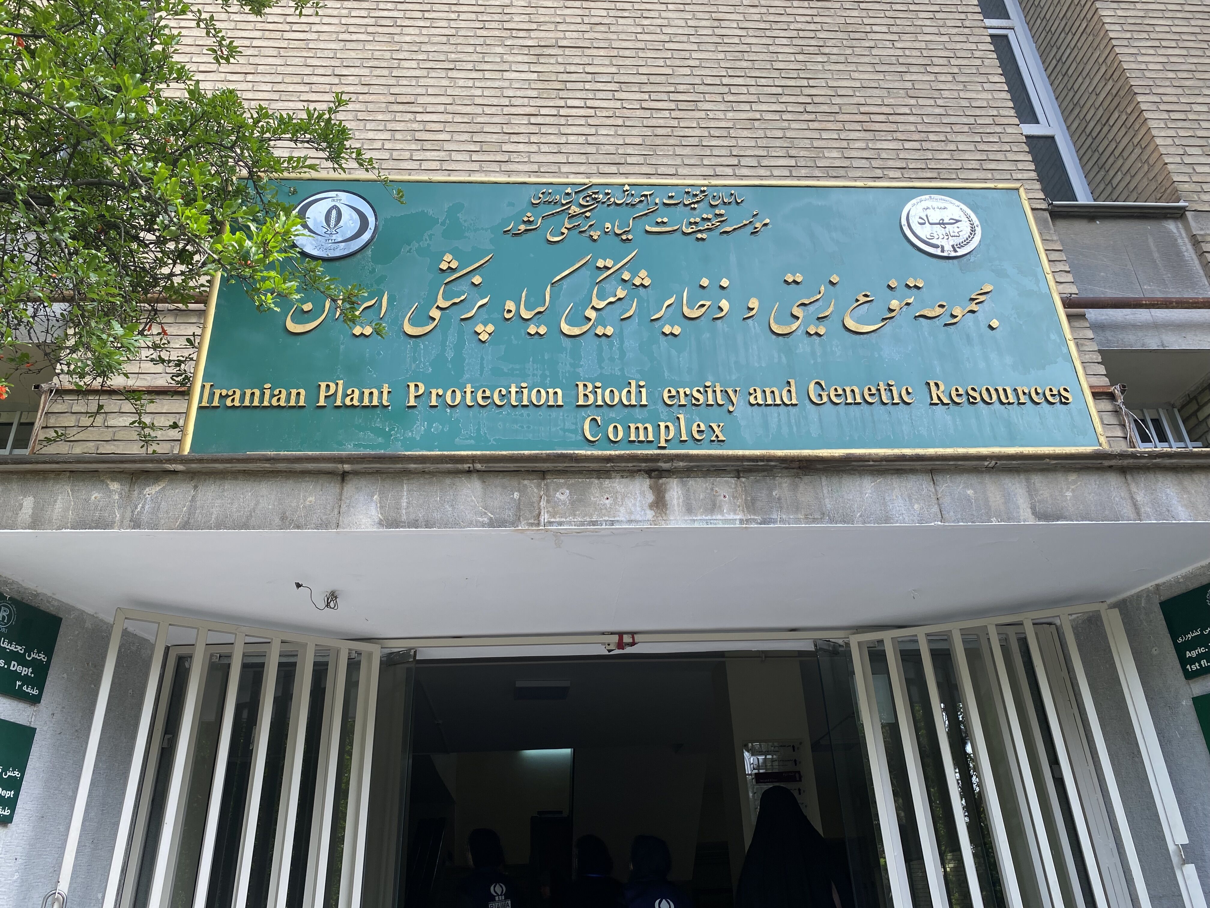 روزی برای لمس علم