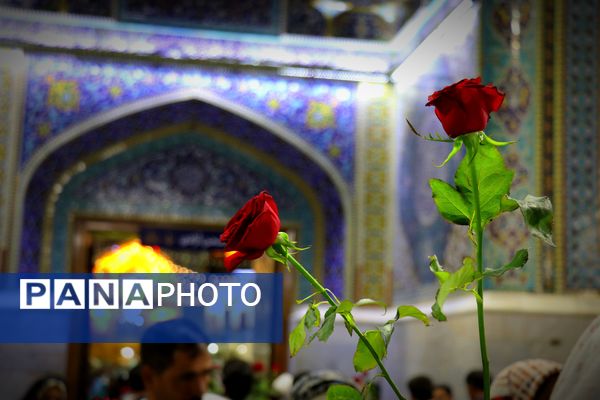 عید امامت در حرم امام رضا(ع)