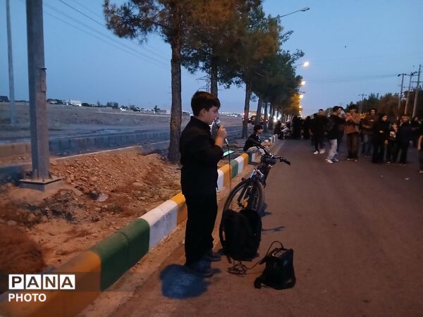 قدم هایی در راه سیدالشهدا